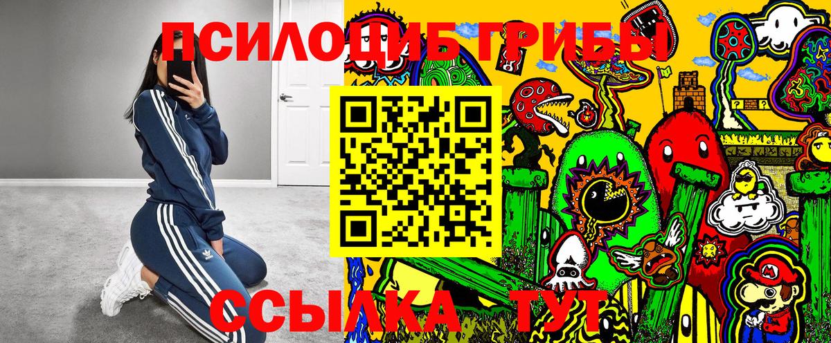 Галлюциногенные грибы Psilocybine cubensis  Вход с VPN  Мичуринск 