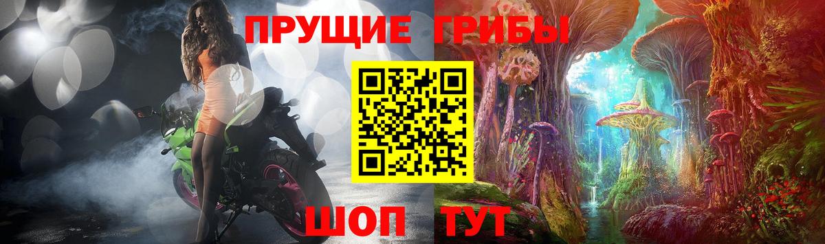 Псилоцибиновые грибы мухоморы Мичуринск